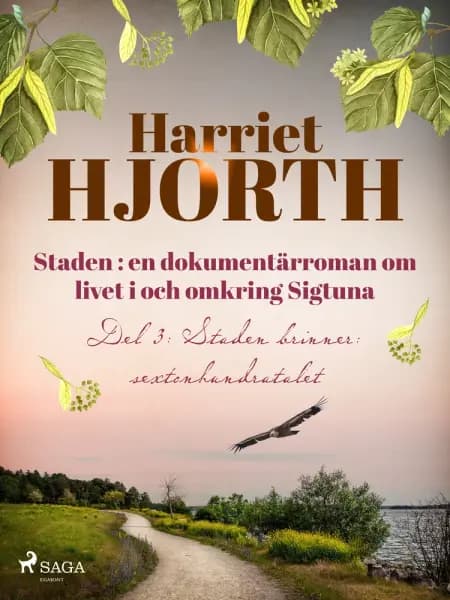 Staden 3: en dokumentärroman om livet i och omkring Sigtuna af Harriet Hjorth