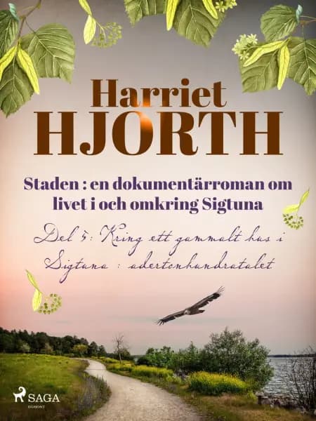Staden 2: en dokumentärroman om livet i och omkring Sigtuna af Harriet Hjorth