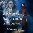 Saga rodu z Lipowej 33: Mateusz af Marian Piotr Rawinis