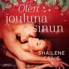 Olen jouluna sinun - eroottinen novelli af Shailene Craig