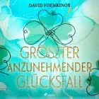 Größter anzunehmender Glücksfall af David Foenkinos