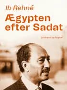 Ægypten efter Sadat af Ib Rehné