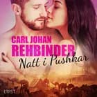 Natt i Pushkar - erotisk novell af Carl Johan Rehbinder