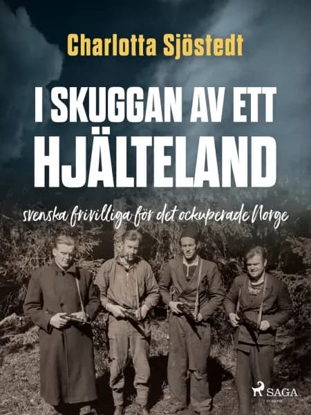 I skuggan av ett hjälteland af Charlotta Sjöstedt