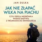 Jak nie złapać wilka na piachu, czyli piesza wędrówka wzdłuż Bałtyku z Trójmiasta do Świnoujścia af Jan Dulka