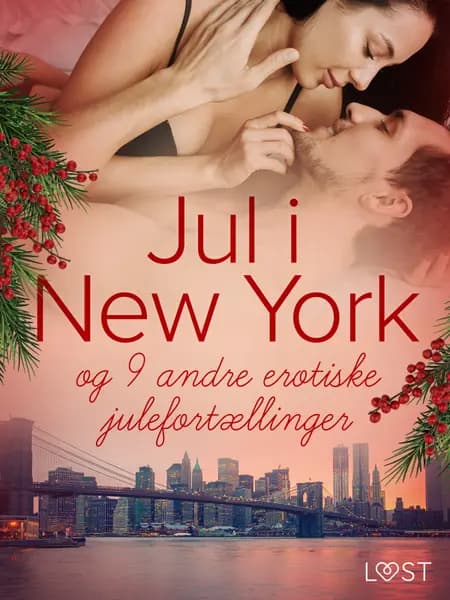 Jul i New York - og 9 andre erotiske julefortællinger af LUST authors