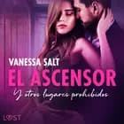 El ascensor y otros lugares prohibidos - an erotic series af Vanessa Salt