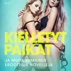 Kielletyt paikat ja muita kiimaisen eroottisia novelleja af Vanessa Salt og Alexandra Södergran