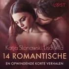 14 romantische en opwindende korte verhalen - een erotische verzameling af Lisa Vild og Katja Slonawski