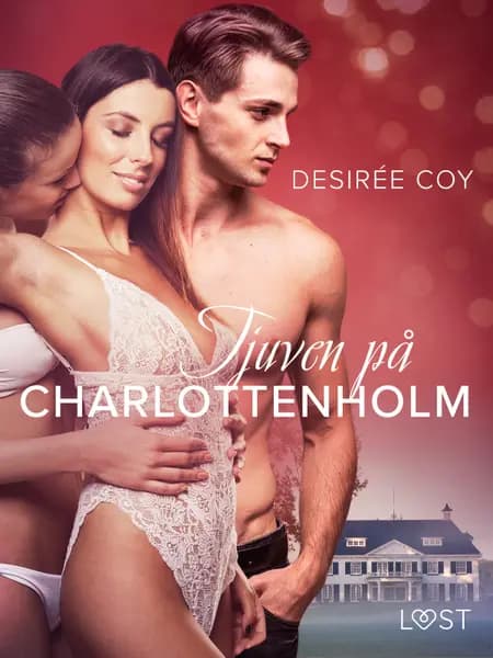 Tjuven på Charlottenholm - erotisk spänningsnovell af Desirée Coy