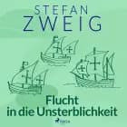 Flucht in die Unsterblichkeit af Stefan Zweig