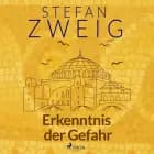 Erkenntnis der Gefahr af Stefan Zweig