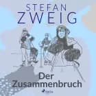 Der Zusammenbruch af Stefan Zweig