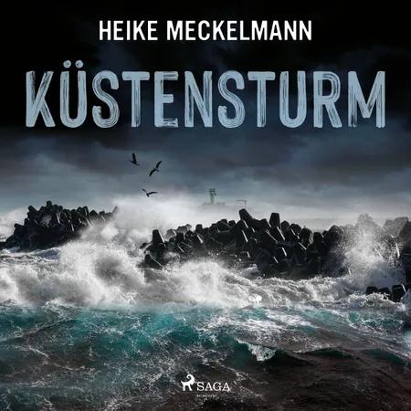 Küstensturm: Fehmarn-Krimi af Heike Meckelmann
