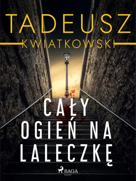 Cały ogień na laleczkę af Tadeusz Kwiatkowski