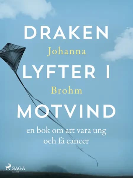 Draken lyfter i motvind af Johanna Brohm