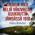 Kauhun aika: neljä väkivallan kuukautta Jämsässä 1918 af Jukka Rislakki