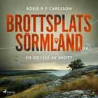 Brottsplats Sörmland. 4, En odyssé av brott af Börje R P Carlsson