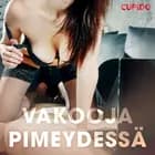 Vakooja pimeydessä - eroottinen novelli af Cupido