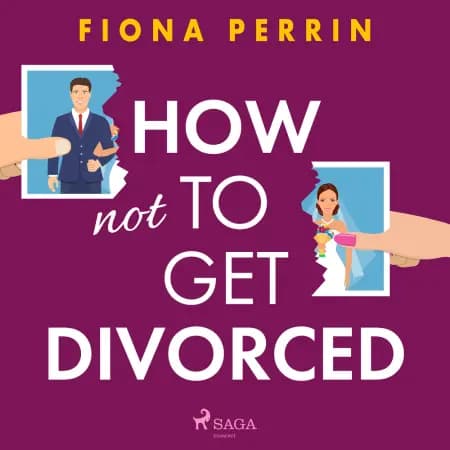 How Not to Get Divorced af Fiona Perrin