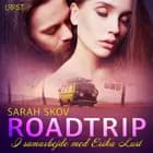 Roadtrip - erotisk novelle af Sarah Skov