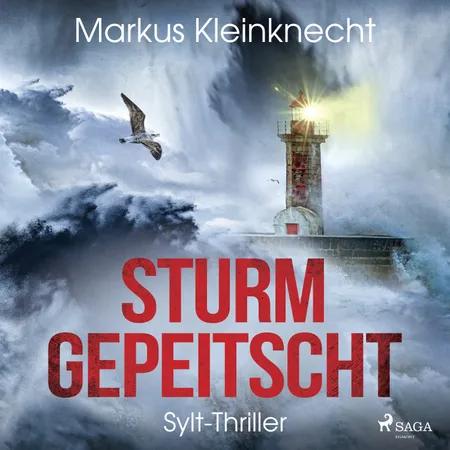 Sturmgepeitscht: Sylt-Thriller af Markus Kleinknecht