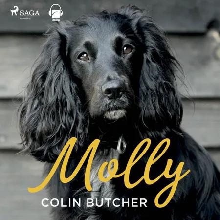 Molly af Collin Butcher