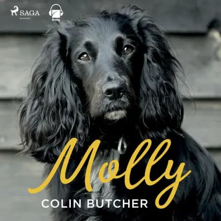 Molly af Collin Butcher