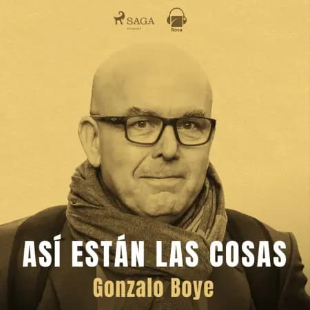 Así están las cosas af Gonzalo Boye