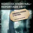 Dødsulykken i Trysil af Diverse