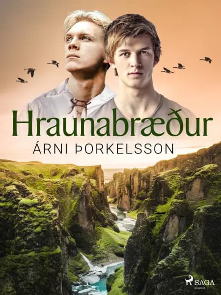 Hraunabræður af Árni Þorkelsson