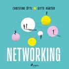 Networking af Gitte Härter og Christine Öttl