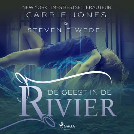De geest in de rivier af Steven E. Wedel