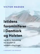 Istidens foraminiferer i Danmark og Holsten og deres betydning for studiet af istidens aflejringer