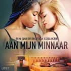 Aan mijn minnaar: een queer erotica collectie af LUST authors