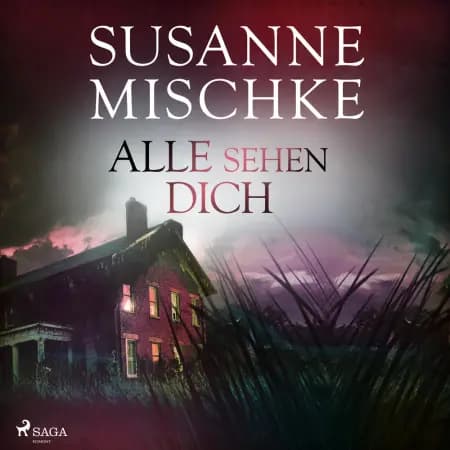 Alle sehen dich (Hannover-Krimis, Band 12) af Susanne Mischke