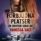 Förbjudna platser: En erotisk serie av Vanessa Salt af Vanessa Salt