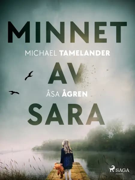 Minnet av Sara af Åsa Ågren