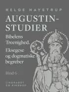 Augustin-studier. Bind 6. Bibelens Treenighed. Eksegese og dogmatiske begreber af Helge Haystrup