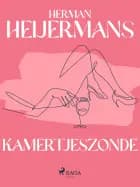Kamertjeszonde af Herman Heijermans