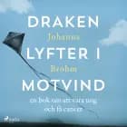 Draken lyfter i motvind af Johanna Brohm