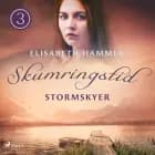 Stormskyer - Skumringstid 3 af Elisabeth Hammer