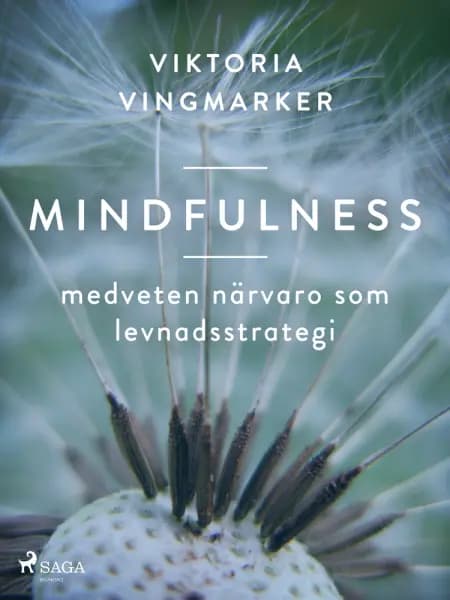 Mindfulness : medveten närvaro som levnadsstrategi af Viktoria Vingmarker