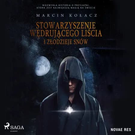 Stowarzyszenie wędrującego liścia i złodzieje snów af Marcin Kolacz
