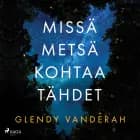 Missä metsä kohtaa tähdet af Glendy Vanderah