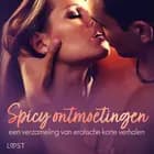 Spicy ontmoetingen: een verzameling van erotische korte verhalen af LUST authors