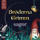 Bröderna Grimms sagor (radiopjäs) af Bröderna Grimm