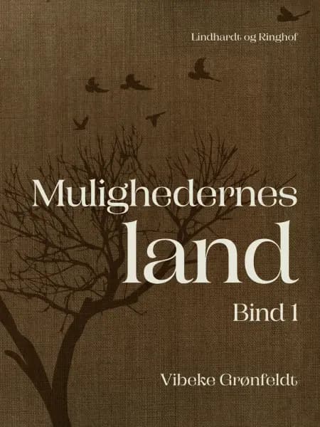 Mulighedernes land. Bind 1 af Vibeke Grønfeldt