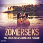 Zomerseks en andere hete erotische korte verhalen af LUST authors