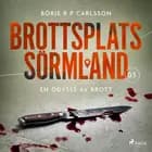 Brottsplats Sörmland. 5, En odyssé av brott af Börje R P Carlsson
